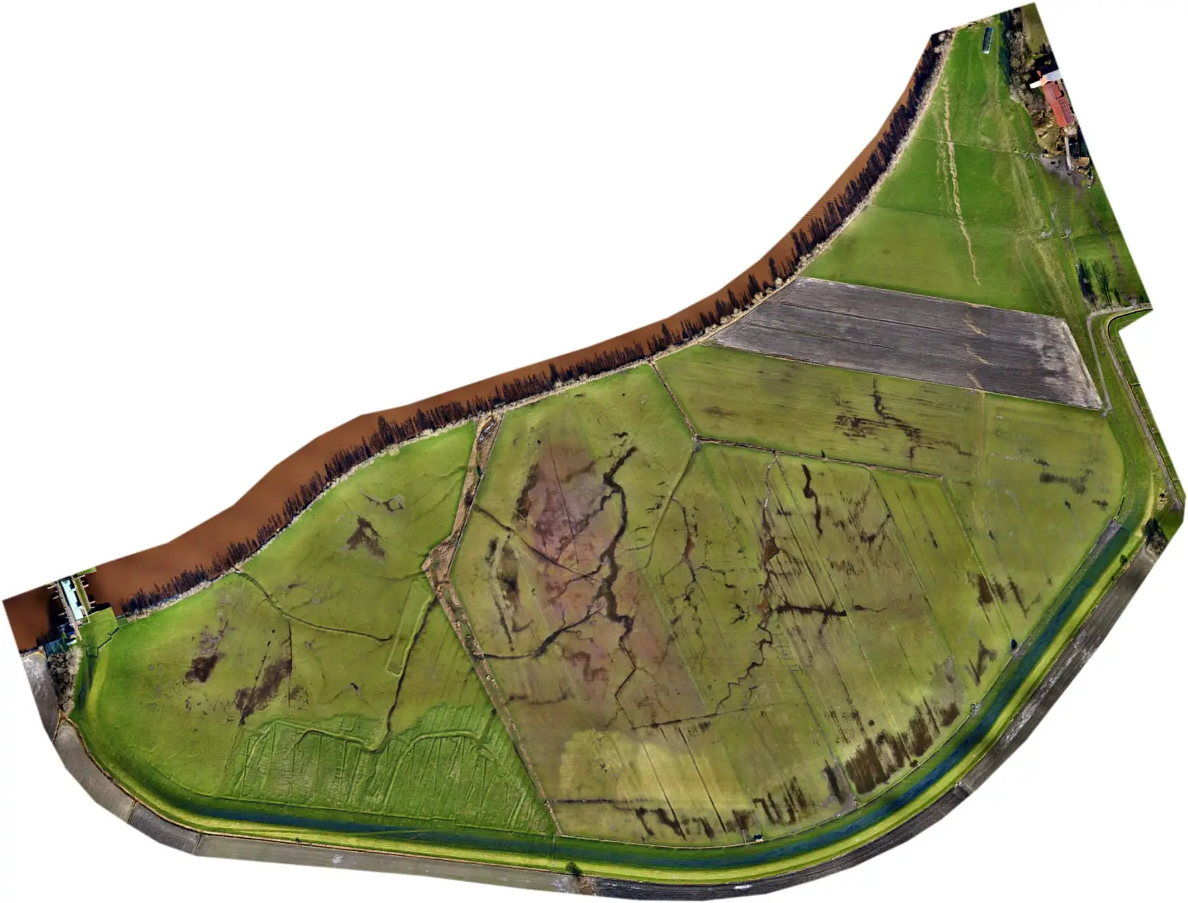 Dangaster Polder im Jahr 2016: Orthophoto aus dem Februar 2016