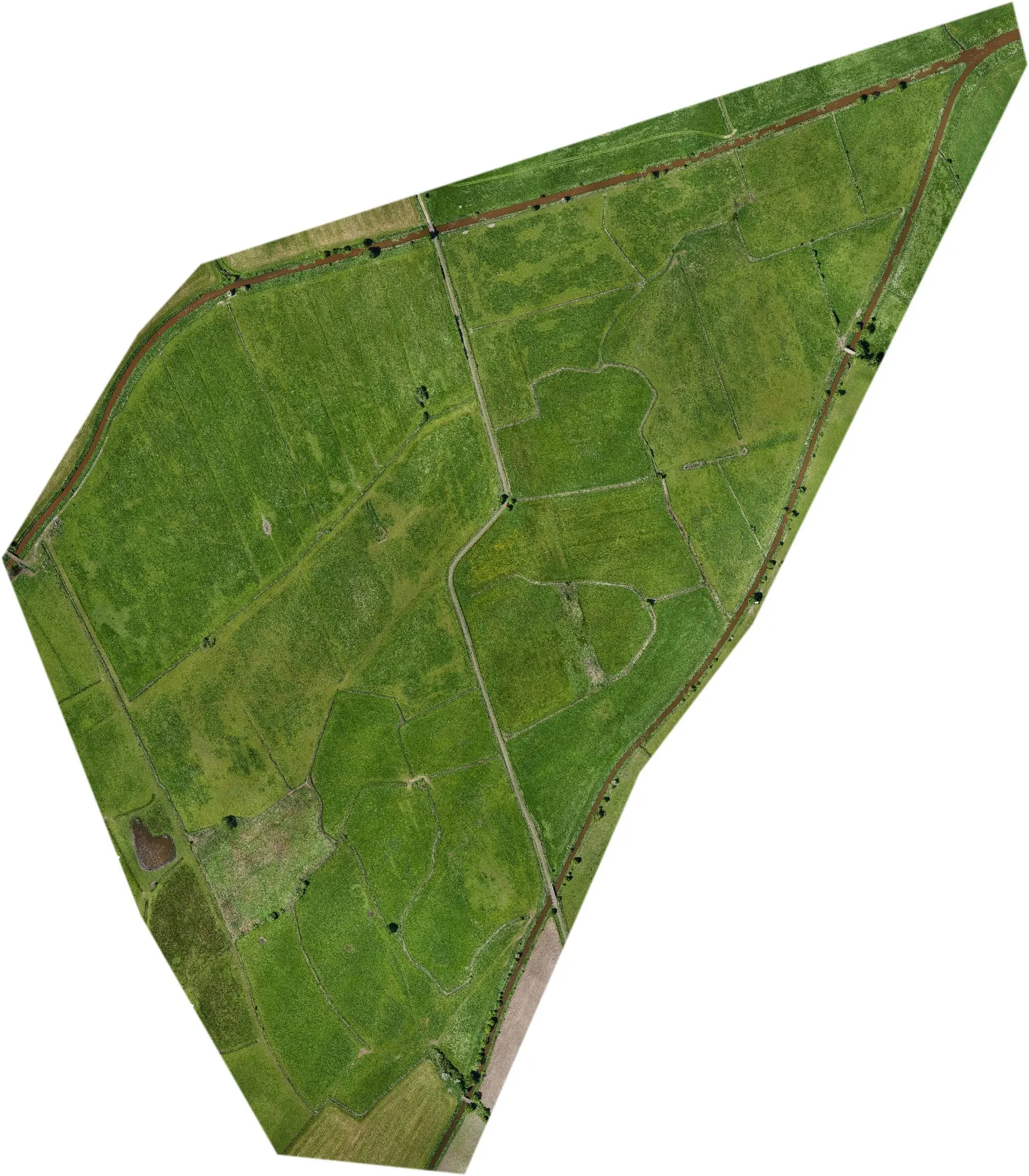 Luftbild Driefeler Wiesen